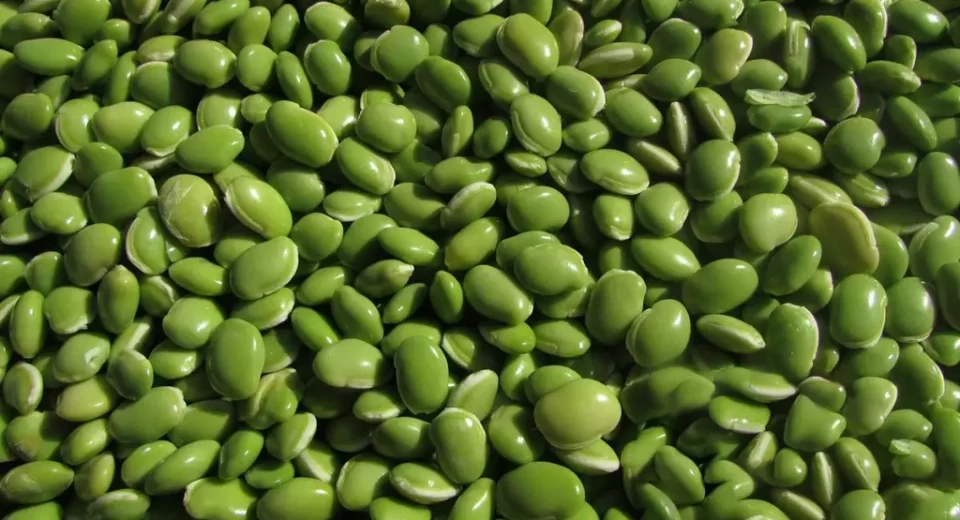 Griffonia avança como ingrediente para saúde emocional