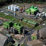 Proteína de micélio ganha espaço com menor impacto ambiental