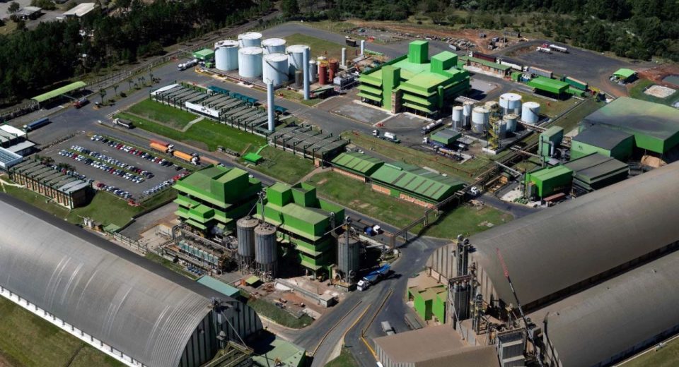 Brasil terá primeira fábrica de glúten vital em 2026