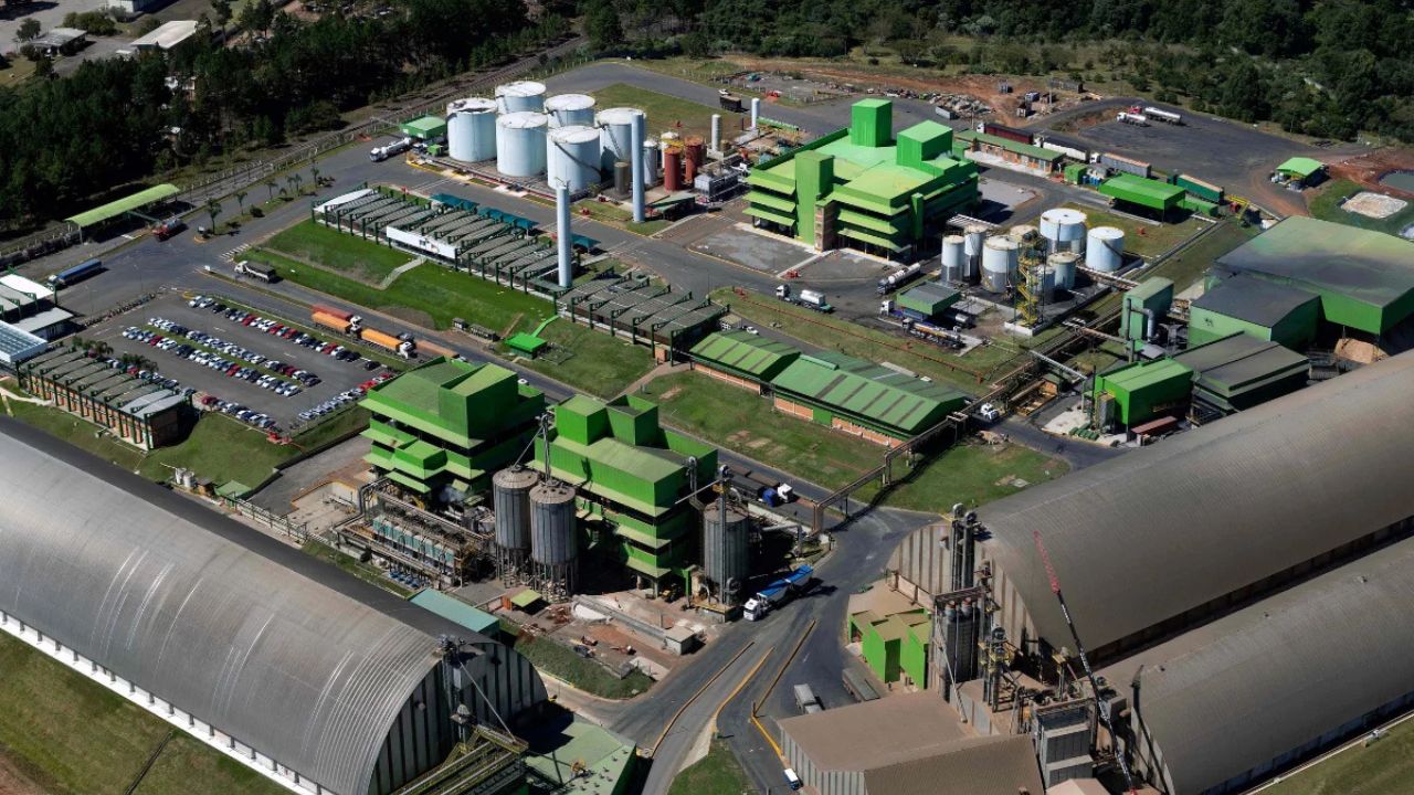 Brasil terá primeira fábrica de glúten vital em 2026