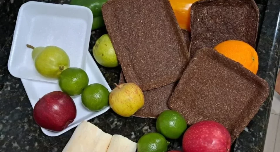 Bandeja biodegradável usa resíduos de mandioca e araucária