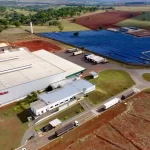 Indústria de bebidas acelera corrida pela redução de açúcar
