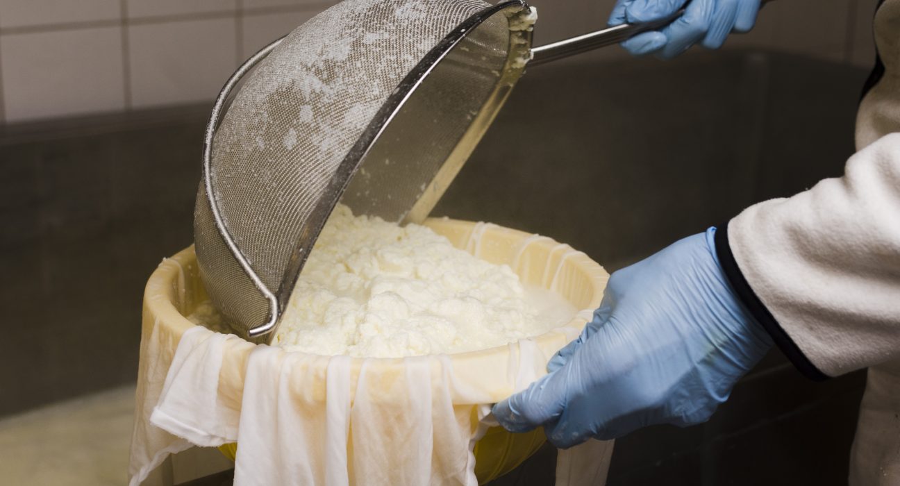 Fermentação impulsiona nova era de proteínas alternativas