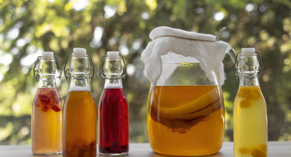 Marca de kombucha é vendida por R$ 2,6 bilhões nos EUA