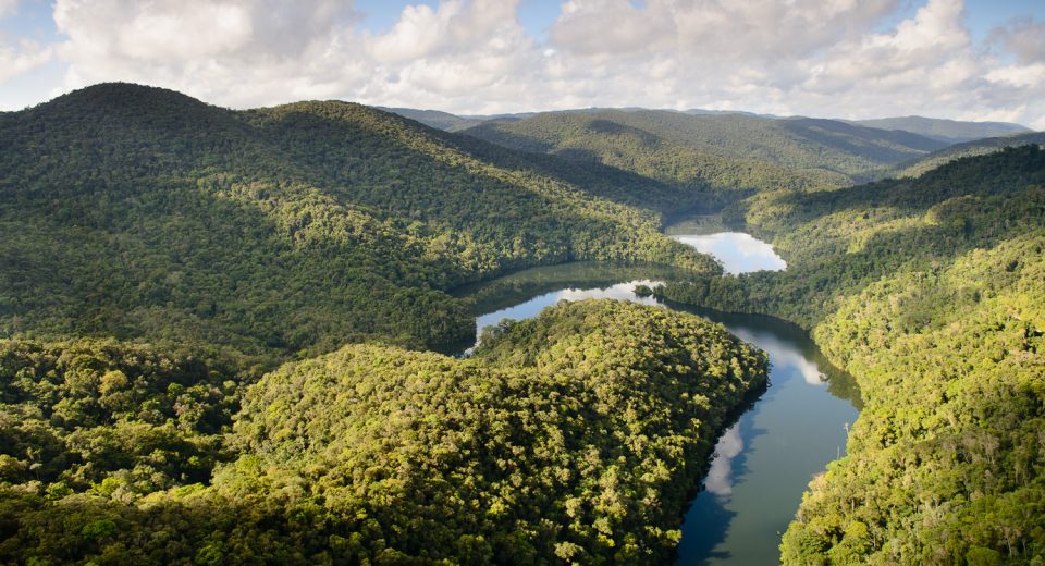 IFF abre laboratório de bioprospecção na Mata Atlântica