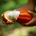 Brasnutri adia nova regra da Anvisa para suplementos