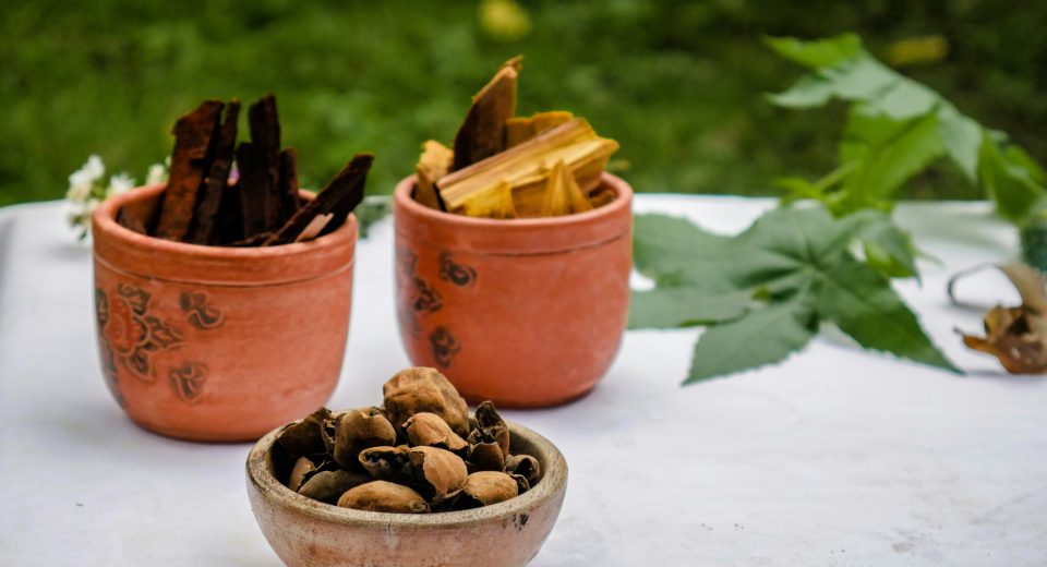 Ingredientes naturais ganham força com rastreabilidade
