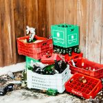 Silk lança bebida à base de plantas no mercado mexicano