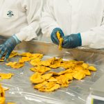 Guaraná Jesus Zero chega ao mercado com nova embalagem