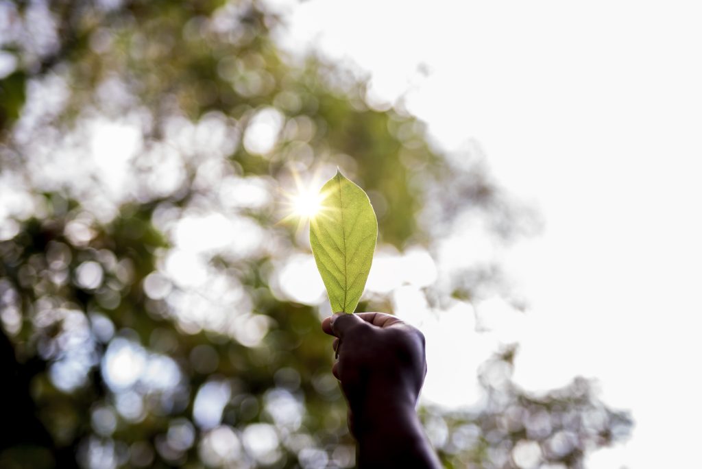 Ingredion Brasil mostra avanço em sustentabilidade