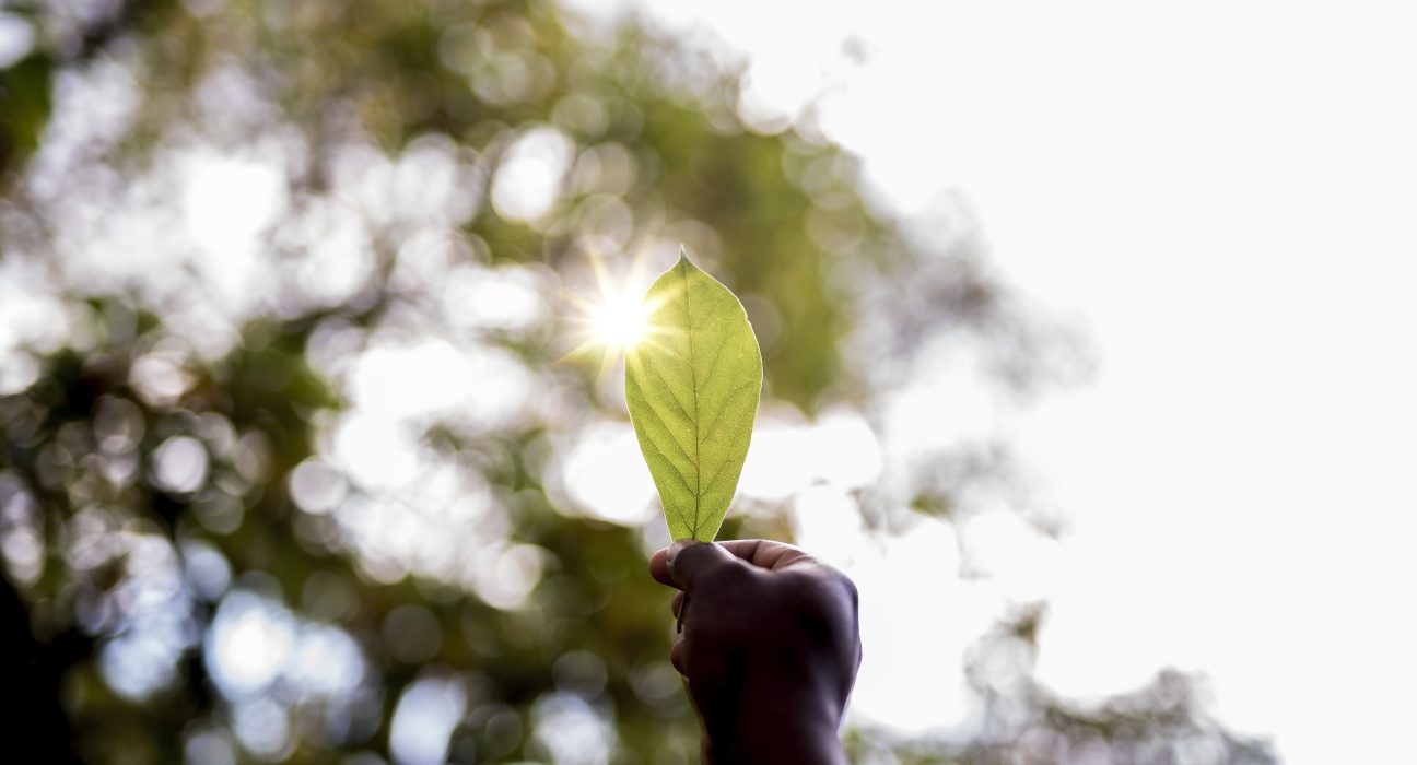 Ingredion Brasil mostra avanço em sustentabilidade
