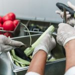 Perfetto aposta no pistache e lança novo sabor Sagui Açaí