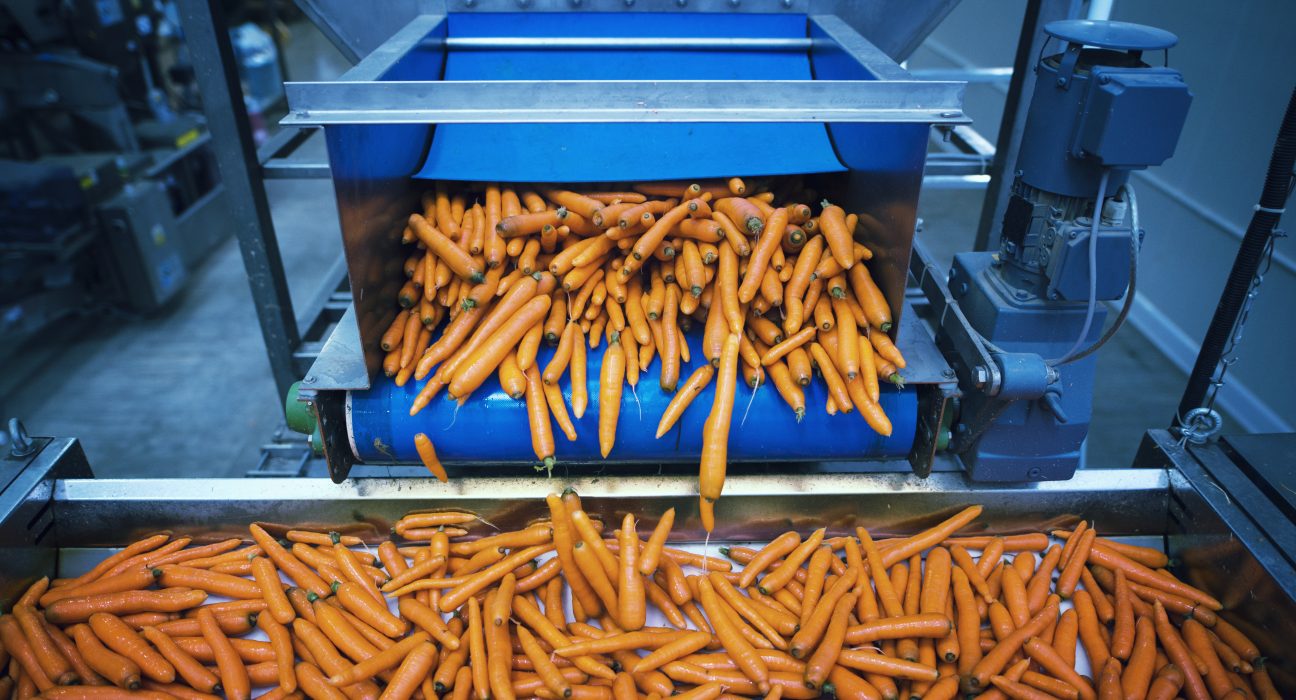 Métodos de conservação reduzem desperdício de alimentos