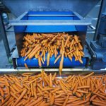 Piracanjuba aposta em nutrição especializada para adultos