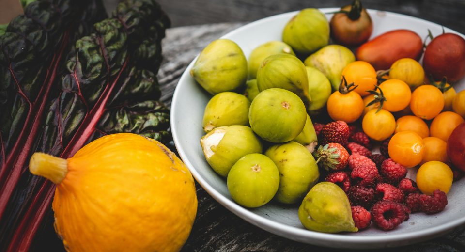 Dietas plant-based podem gerar economia global bilionária