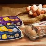 Heineken Lager Spritz estreia como aposta do verão