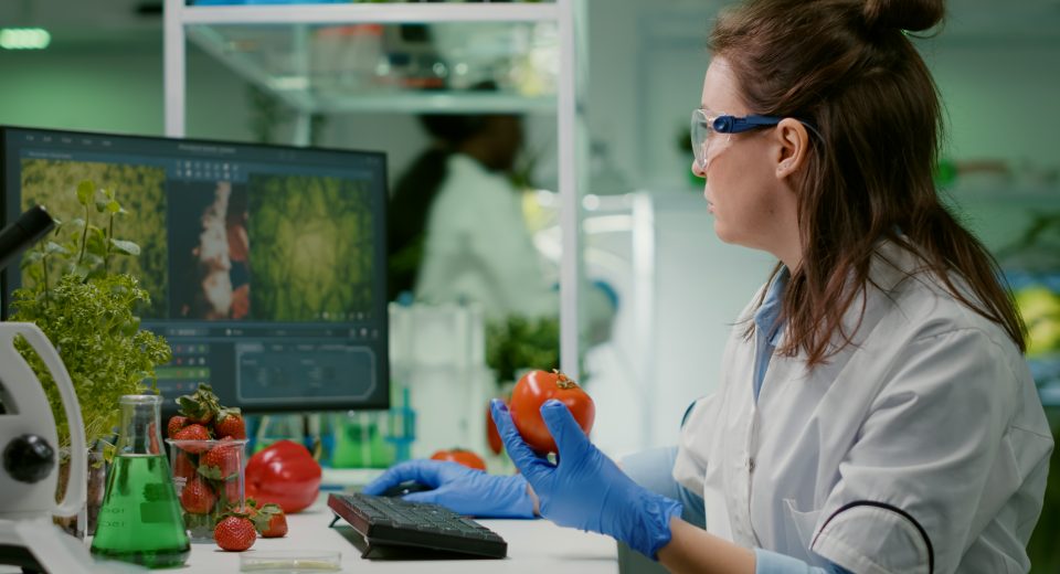 Inovação em alimentos une ciência, indústria e regulação