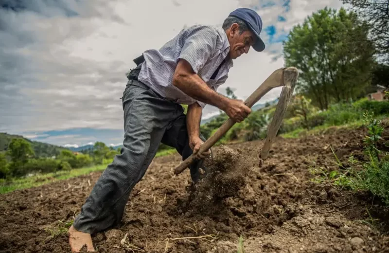 Produção de alimentos no Peru avança no deserto costeiro