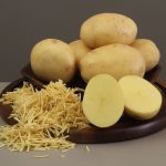 GUP Nitro e GUP Carbo Gel chegam ao mercado nacional