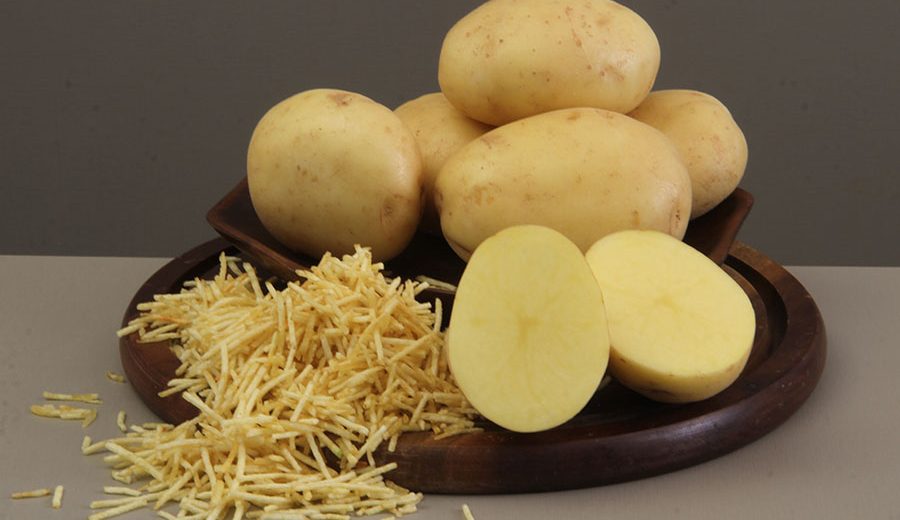 Embrapa lança cultivar de batata para chips e batata-palha