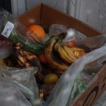 Tropical reforça bebidas premium com retorno da Do Bem