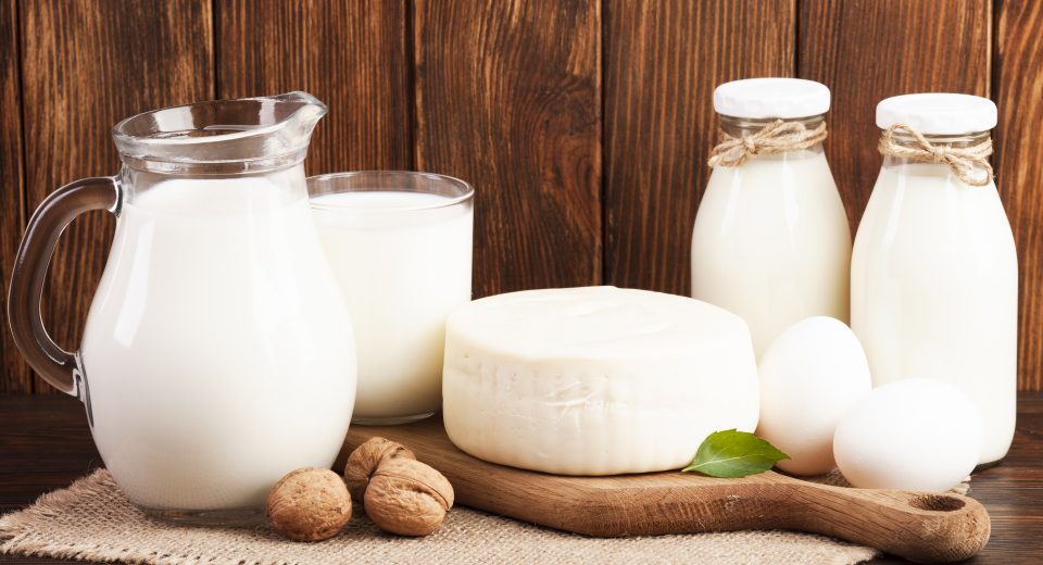 Conheça as tendências para o setor lácteo em 2026