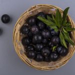 Tirolez lança queijos espalháveis com proteína