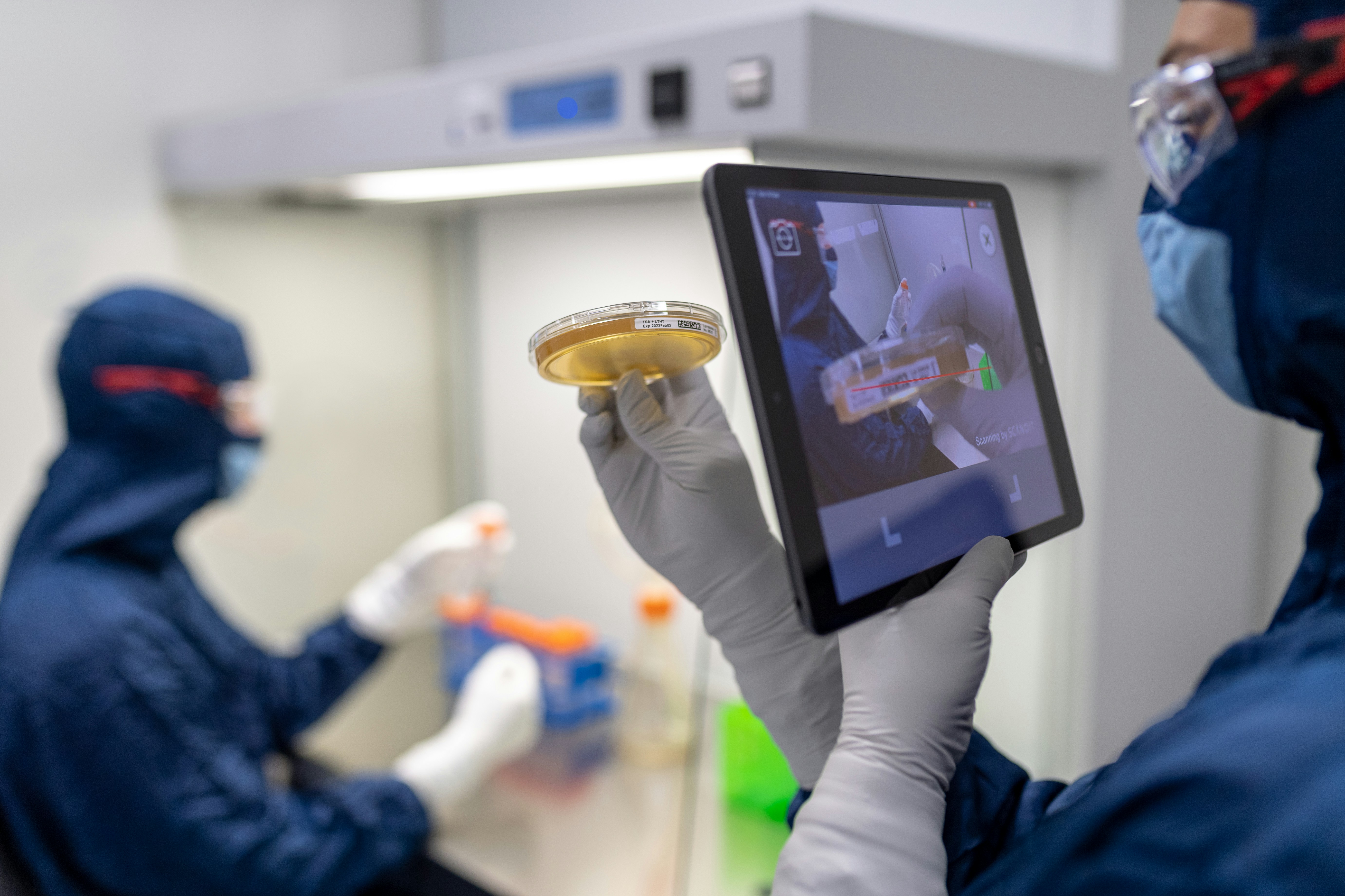 Unicamp usa fungos para criar ingrediente alimentar