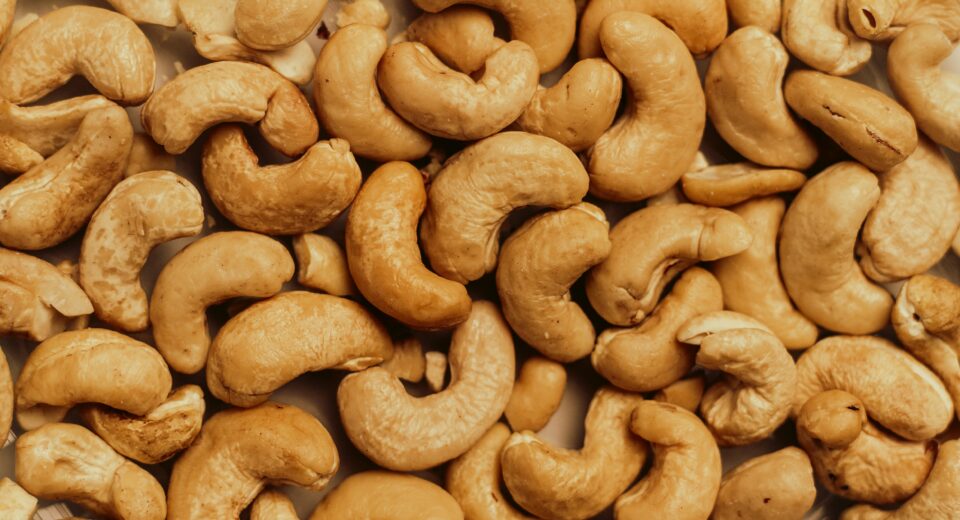 Castanha de caju ganha força com avanço do plant-based