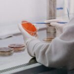 Ser+ ganha novas embalagens para destacar diferenciais
