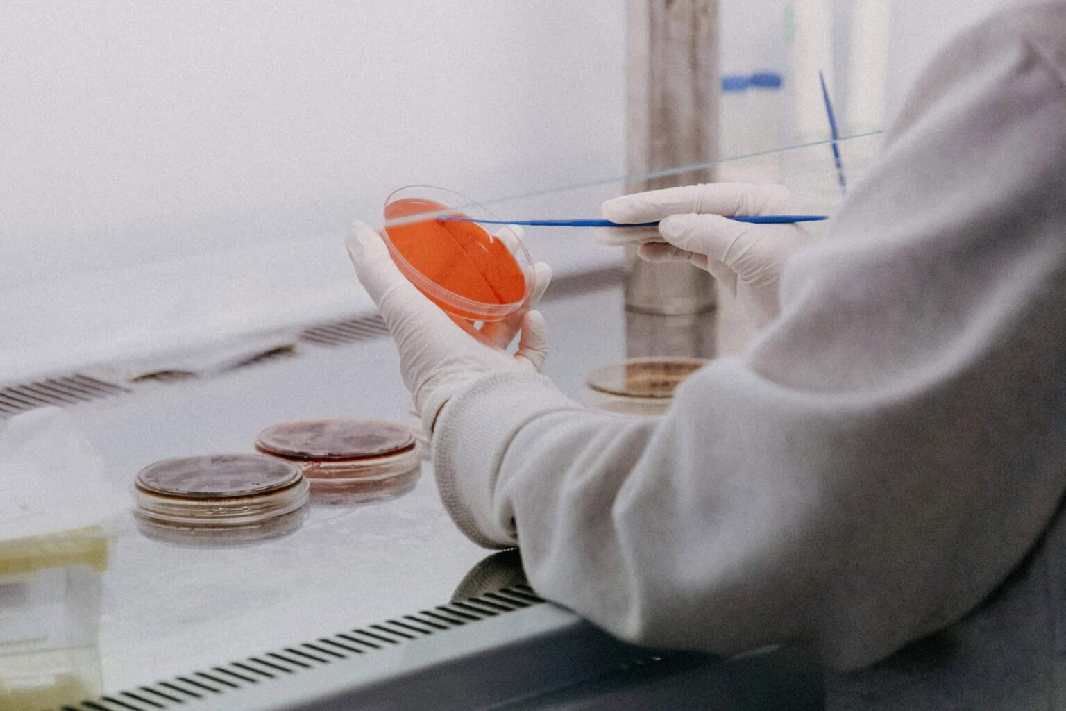 Agricultura celular ganha curso avançado em Delft