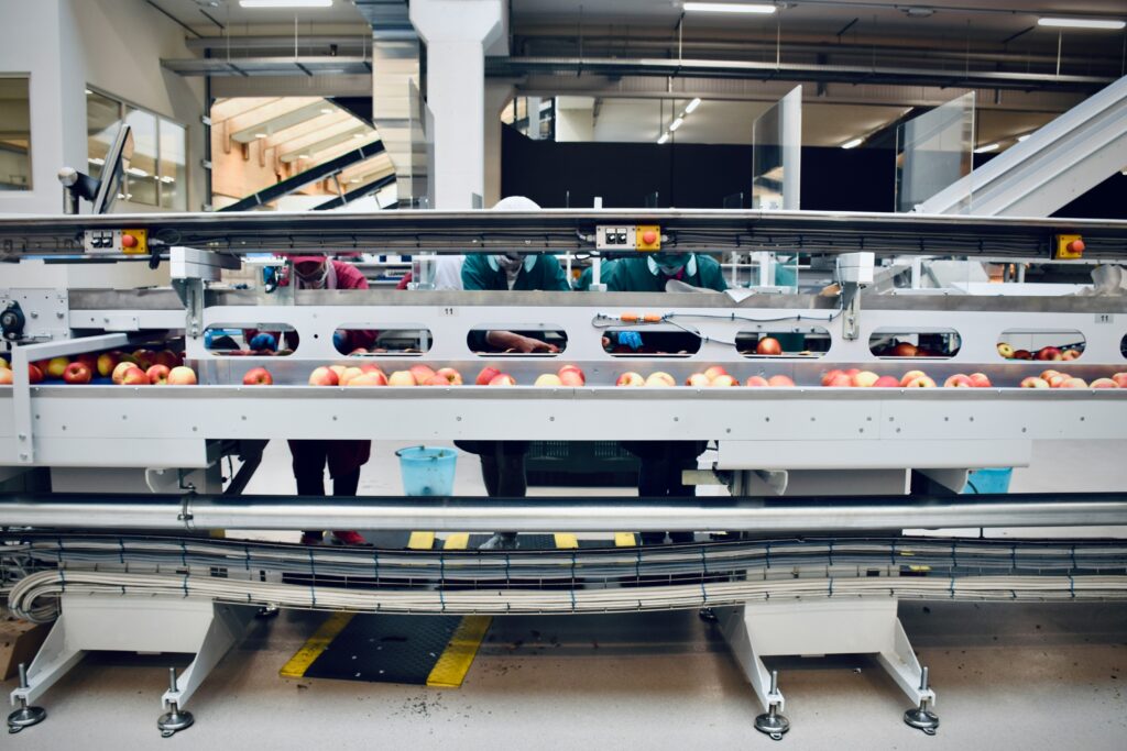 Indústria de alimentos cresce 8% e amplia empregos