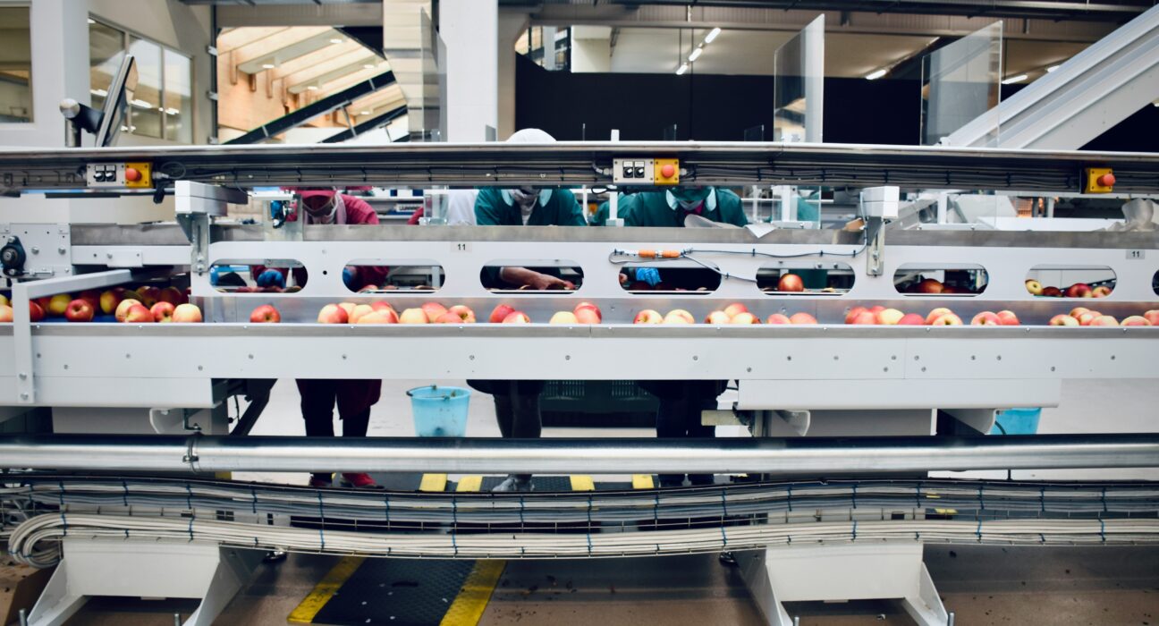 Indústria de alimentos cresce 8% e amplia empregos