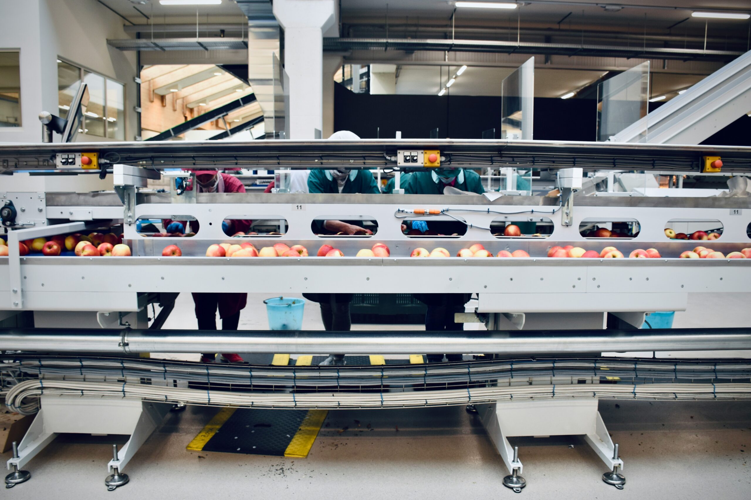 Indústria de alimentos cresce 8% e amplia empregos